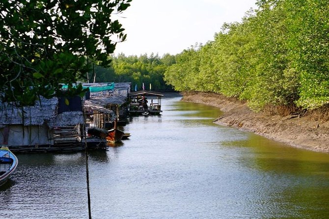 Lanta Old Town and Mangrove Forest Sightseeing Tour - Wildlife spotting on the mangrove riverbanks