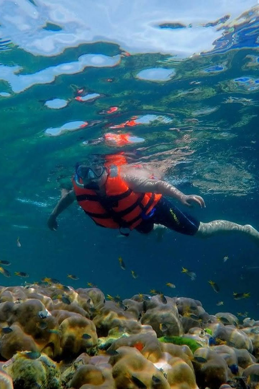 Lanta's Hidden Gems: 4 Islands by Traditional Longtail Boat - Key Highlights You Can Actually Plan Around