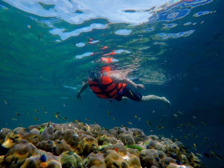 Lanta's Hidden Gems: 4 Islands by Traditional Longtail Boat - Koh Maa: Giant Bats and Feeding Fish