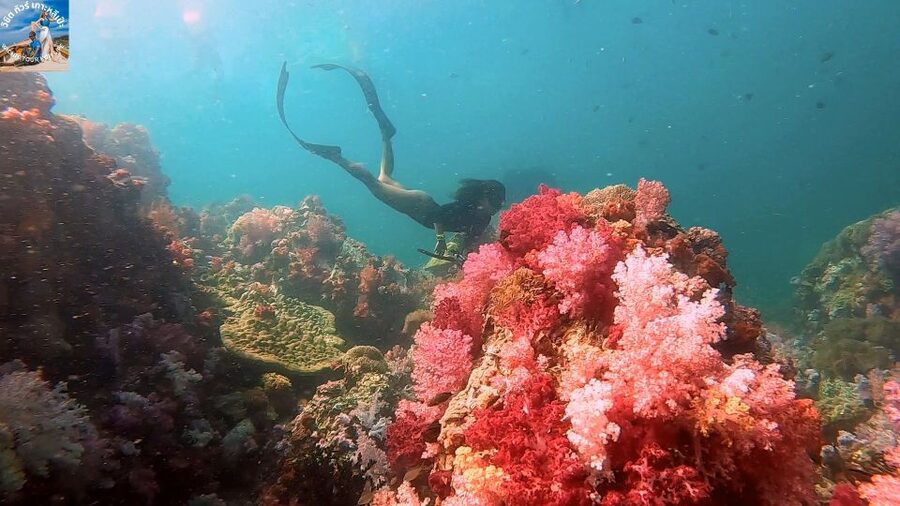 Lipe: Longtail Boat Snorkeling to Outer Islands Program B - Should You Book This Long-Tail Boat Snorkeling Trip?