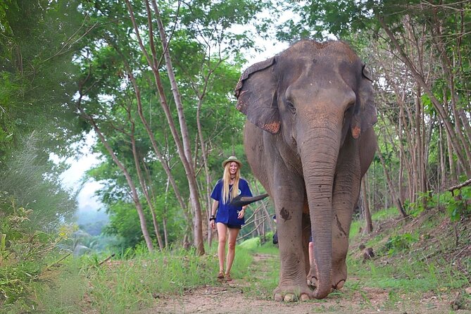 Living Green Elephant Sanctuary Tour from Bangkok and Pattaya - Key Highlights You Should Know Before You Go