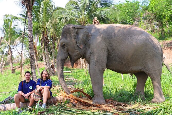 Living Green Elephant Sanctuary Tour from Bangkok and Pattaya - Why This Sanctuary Tour Feels Different Than Show Tours