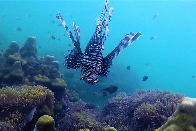 Local Reef Snorkelling and Deserted Beach - Weather reality: the best months for Khao Lak snorkelling