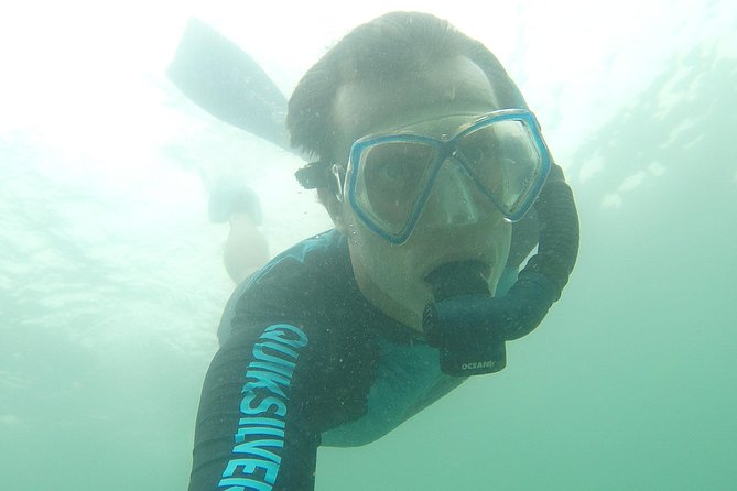 Local Reef Snorkelling and Deserted Beach - Mangroves and fishing villages: the scenic cruise before the snorkel