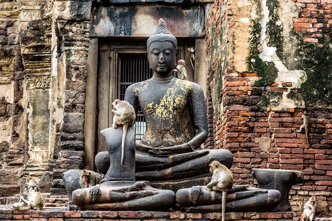 Lopburi Monkey Temple & Ayutthaya Old City Tour From Bangkok - Monkeys: how to get great photos without making it a problem