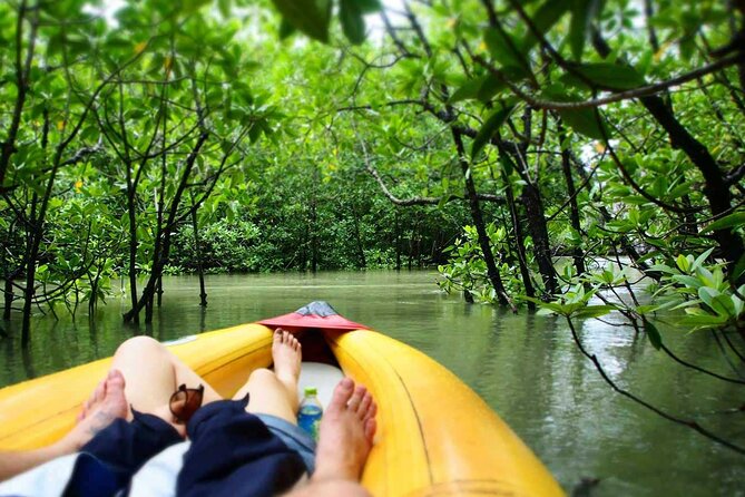 Luxury Private Motor Yacht Charter by Simba Sea Trips - Koh Ku Du Yai secret Hong swimming: the water moment you plan for
