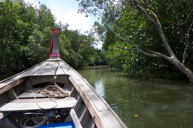 Mangrove Boat Tour in Krabi - The longtail boat ride, why it matters on this route