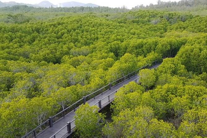 Mangrove Forest Hike and River Boat Ride with Private Guide from Hua Hin - Khao Daeng viewpoint climb: 360 degree views with some uphill work