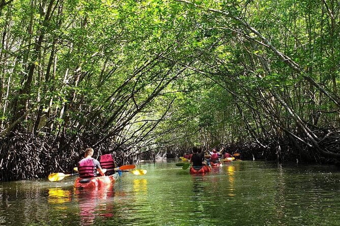 Mangrove Tour by Kayaking in Ko Lanta With Lunch - Key points before you go