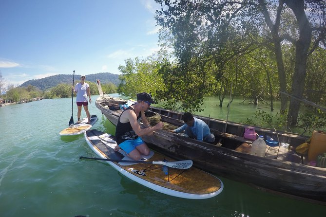 Mangroves SUP Tour Phuket - Mangroves SUP in Phuket: The Calm Part Actually Delivers