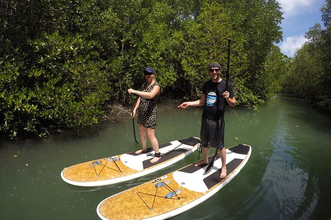 Mangroves SUP Tour Phuket - Moving Toward Phang Nga Bay and the Bigger Water Feeling