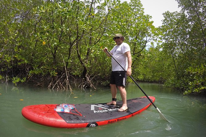 Mangroves SUP Tour Phuket - Who This Tour Fits Best, and Who Should Rethink It