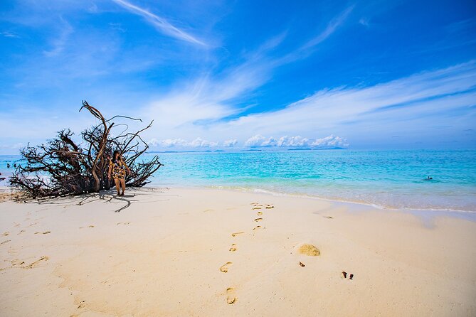 Maya Bay, Monkey Bay and Phi Phi Island Snorkeling Tour from Koh Lanta - Stop-by-stop: what each Phi Phi moment is like