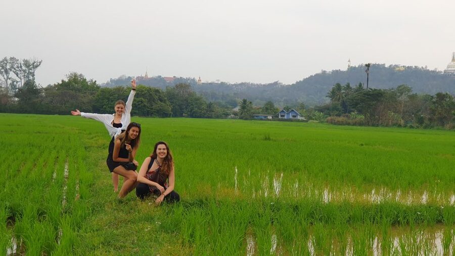 Meditation Retreat and Self-Care in Nature - Gentle yoga and stretches, adjusted to your body and comfort