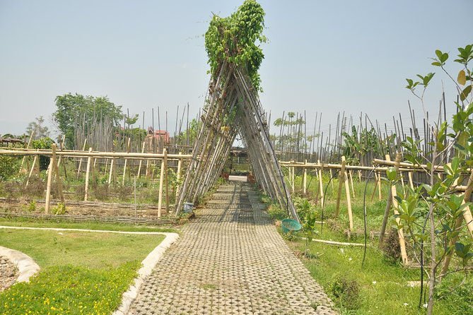 Morning Cooking Class in Organic Farm with Local Market Tour - Should you book this morning class? (My take)