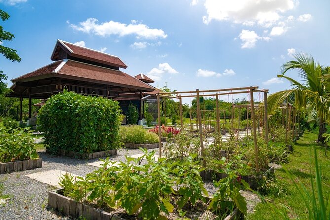 Morning Thai Cooking with Grandma - Market Visit & Farm Tour - The Four Thai Dishes You May Cook (And How to Expect Them)