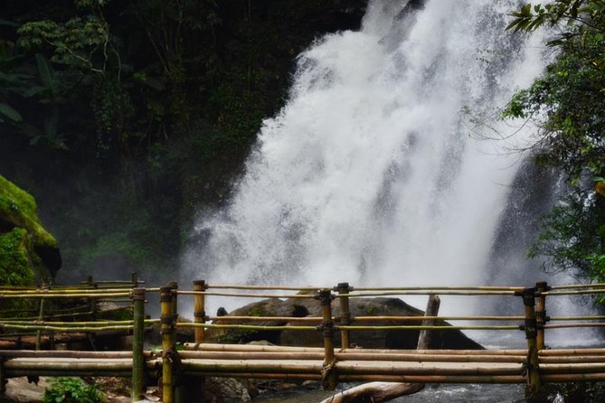 Mount Doi Inthanon Hiking & Bird Watching - What you get for $152.50, and when it’s good value