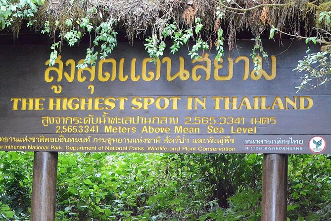 Mount Doi Inthanon Hiking & Bird Watching - Who this tour is best for, and who might skip