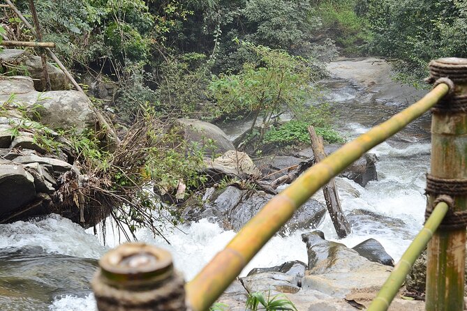 Mount Doi Inthanon National Park Sunrise and Hiking - Your driver-guide: Lee or Joe, and why the person matters