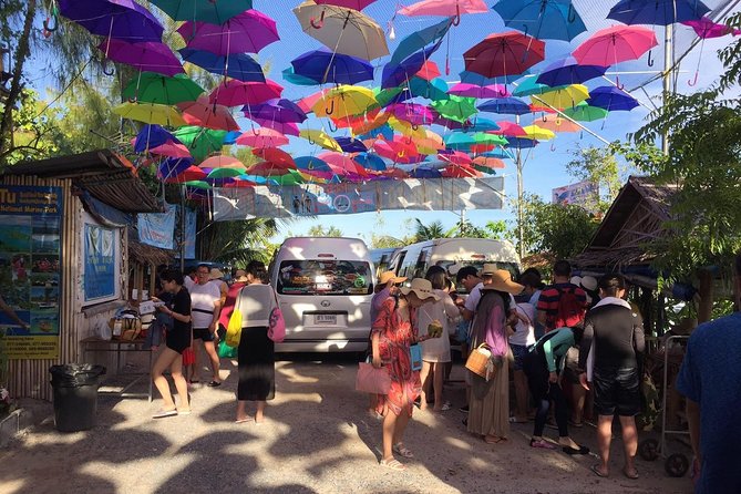 Mr. Tu Fishing Day Trip by Escort Boat from Koh Samui - Swimming or snorkeling time for a change of pace