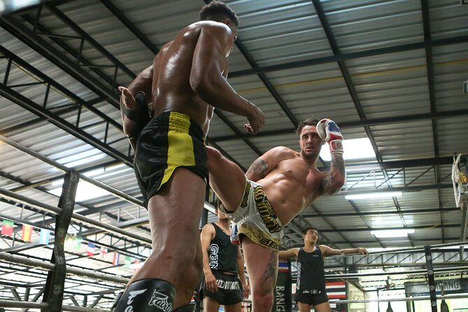 Muay Thai Experience - 1/2 Day - Should you book Gym Bangarang’s Muay Thai half-day?