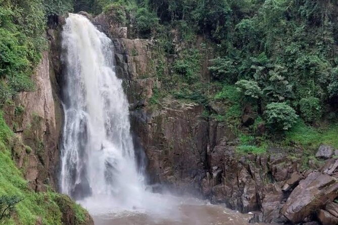 Natural Park Khao Yai with Mr Nong - A wildlife-first Khao Yai day with Mr Nong