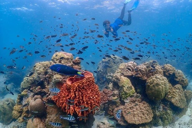 Nemo Island Experience with Drone Photos and Lunch - Getting From Pattaya to Samae San, Without Making Your Day Hard