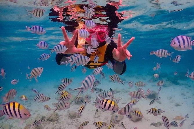 Nemo Island Experience with Drone Photos and Lunch - Drone-Style Underwater Photos and the Crew That Helps You Get Them