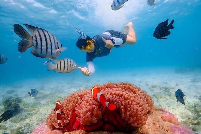 Nemo Island Experience with Drone Photos and Lunch - Lunch at a Seaside Restaurant: Real Fuel for an 8-Hour Day