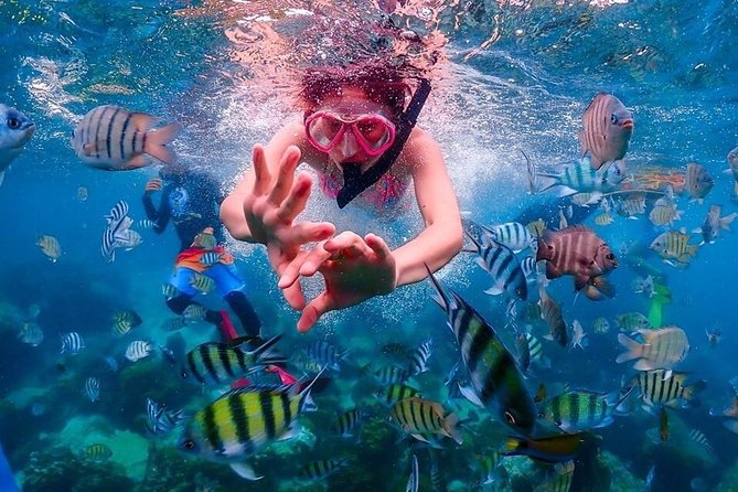 Nemo Island Experience with Drone Photos and Lunch - Who This Trip Suits Best, and Who Should Skip It