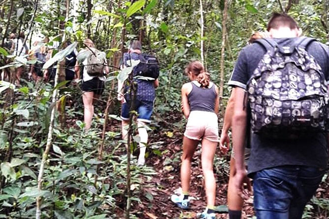 No.1 Chiang Mai: 3-Hour Monk Trail Hike to Wat Doi Suthep & Palad - Entering Doi Suthep-Pui National Park at 9:30 am