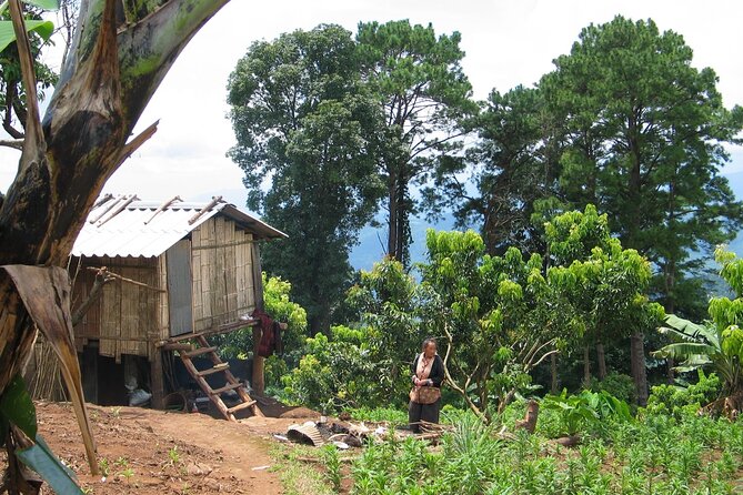 No.1 Chiang Mai: Advanced Downhill Mountain Biking, Suthep N.Park - Safety and support that matter on technical downhill trails