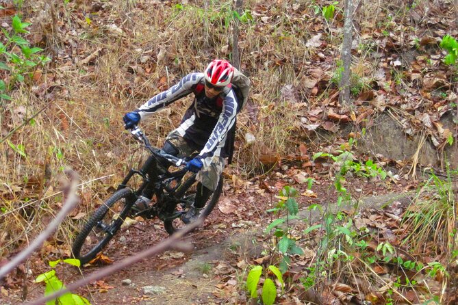 No.1 Chiang Mai: Advanced Downhill Mountain Biking, Suthep N.Park - Skill level reality check: intermediate to advanced, but know what that means