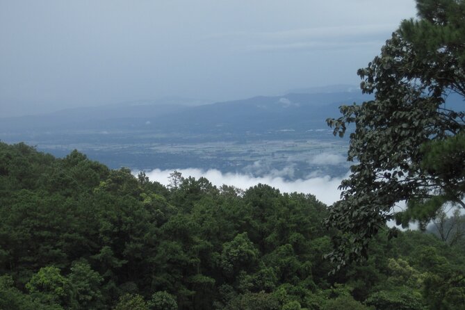 No.1 Chiang Mai: Advanced XC Downhill Biking, Doi Suthep N. Park - Technical downhill without jumps, which changes how you train