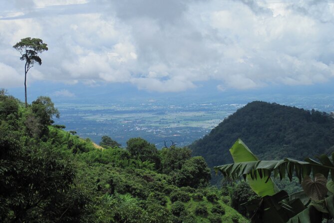 No.1 Chiang Mai: Advanced XC Downhill Biking, Doi Suthep N. Park - Forest coffee stop, then keep your focus
