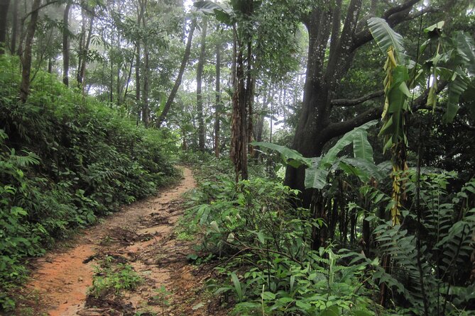 No.1 Chiang Mai: Advanced XC Downhill Biking, Doi Suthep N. Park - Lake Huay Tueng Tao finish: lunch and a cleaner kind of recovery