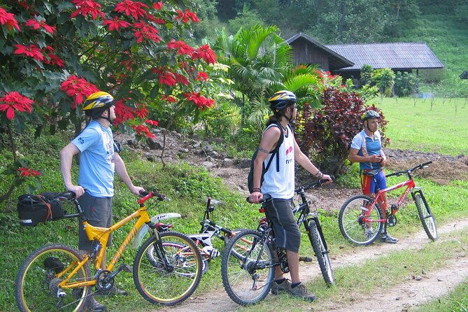No.1 Chiang Mai: Advanced XC Downhill Biking, Doi Suthep N. Park - Bikes, safety gear, and support truck: where the value really is