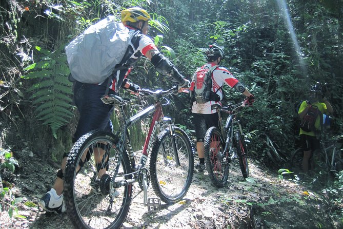 No.1 Chiang Mai: Advanced XC Downhill Biking, Doi Suthep N. Park - The price breakdown, and what costs extra at the gate