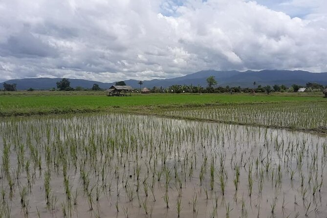 "No.1 Chiang Mai: Leisure Bicycle Ride to Lake Huay Tueng Tao" - Key things I’d zero in on before you go