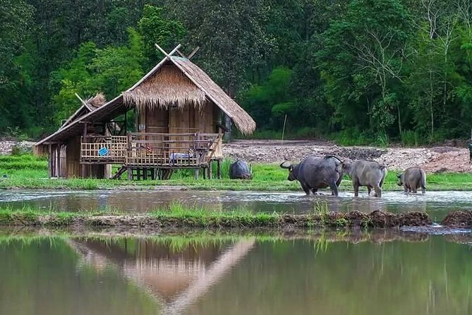"No.1 Chiang Mai: Leisure Bicycle Ride to Lake Huay Tueng Tao" - Meeting up, getting your bearings, then testing your bike