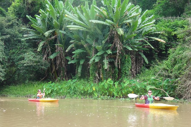 No.1 Chiang Mai: Leisure River Kayaking: Mae Taeng forest Reserve - The Mae Tang Forest Reserve Finish, Where the Canopy Closes In