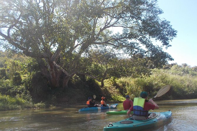 No.1 Chiang Mai: Leisure River Kayaking: Mae Taeng forest Reserve - The Kayak Lesson That Makes You Feel in Control