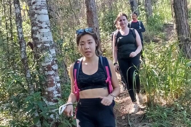 "No.1 Chiang Mai: Suthep N. Park Leisure walks & Mountain Biking" - Stop 4: Khun Chang Khian hill tribe village and lunch at altitude