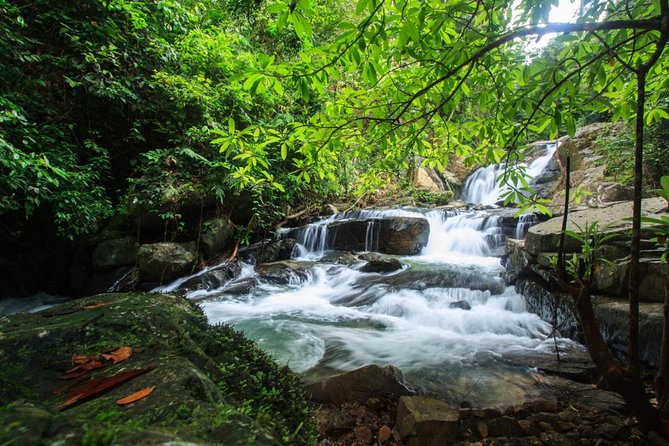 Off Road Safari Khao Lak - Mangrove canoeing: the calm start (and wildlife potential)