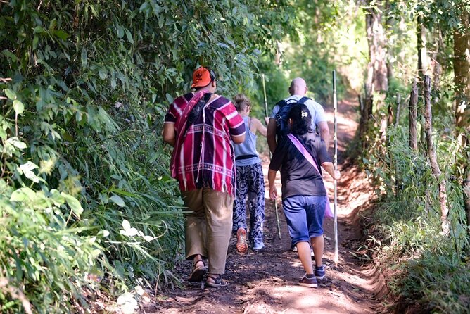 Off the Map Chiang Mai Jungle Coffee Trek Roast and Brew - The Karen Highlands off-road adventure in Mae Wang National Park