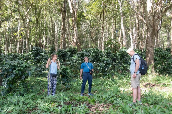Off the Map Chiang Mai Jungle Coffee Trek Roast and Brew - Farm-to-table Karen vegetarian lunch after the trek
