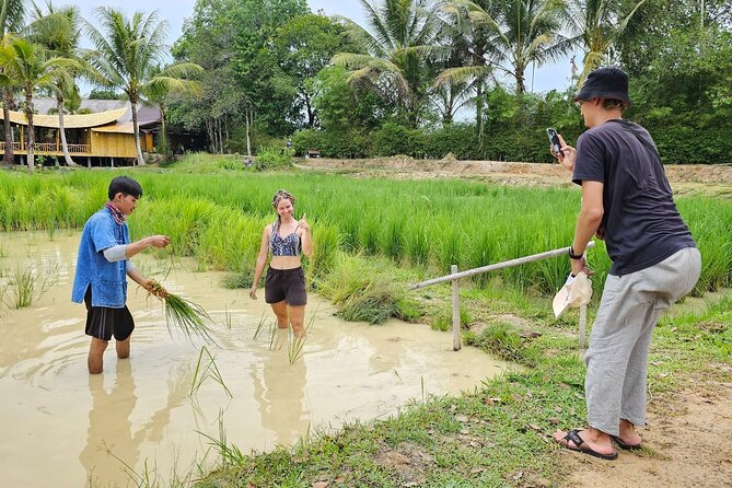 Old Phuket Farm Ticket - Countryside Local Life Culture - Rubber trees and sap work: learning how rubber sheets are made