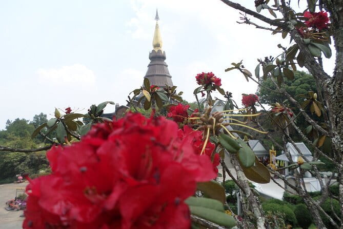 One day Doi Inthanon National Park & Trekking on Kew Mae Pan - Price and value: is $161.99 per person a fair deal?