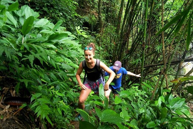 One Day Hiking and Elephant experience by Chiang Mai Elephant Home - Key points to know before you go
