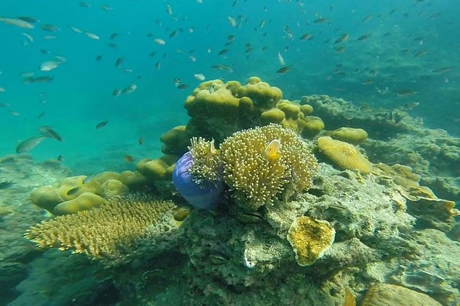 Oneday Tour 4 Islands and Emerald Cave By Tin Adventure Sea Tour from Koh Lanta - Key things to know before you go